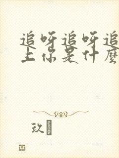 追呀追呀追赶不上你是什么歌