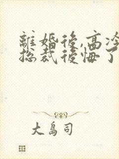 离婚后,高冷女总裁后悔了免费封面