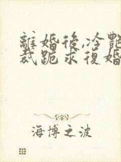 离婚后,冷艳总裁跪求复婚全文