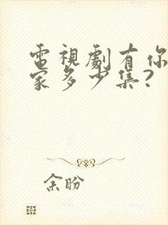 电视剧有你才有家多少集?