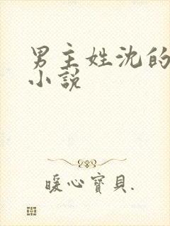 男主姓沈的所有小说