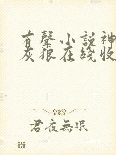 有声小说神墓大灰狼在线收听