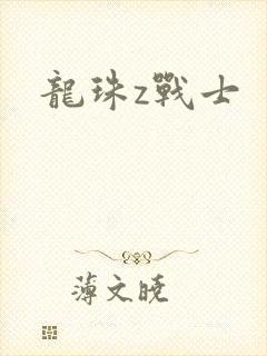 龙珠z战士