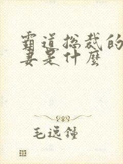 霸道总裁的小娇妻是什么封面