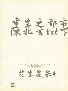 重生之都市修仙陈北玄txt下载
