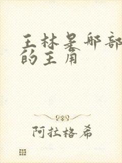 王林是哪部小说的主角封面