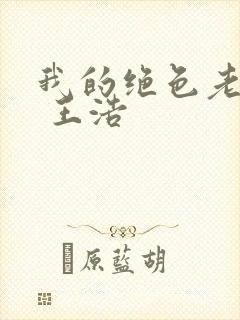 我的绝色老板娘 王浩