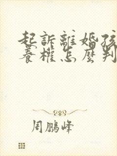 起诉离婚孩子抚养权怎么判决