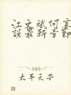 江文斌何赛花小说最新章节更新时间