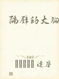 隔壁的大胸女友封面