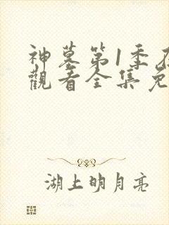 神墓第1季在线观看全集免费高清