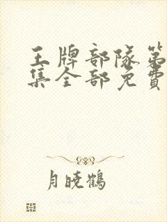 王牌部队第30集全部免费播放下载