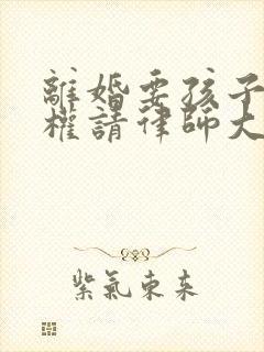 离婚要孩子抚养权请律师大概需要多少钱