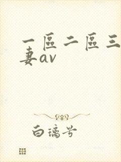 一区二区三区人妻av