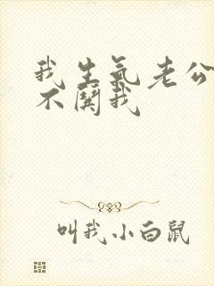 我生气老公从来不哄我封面