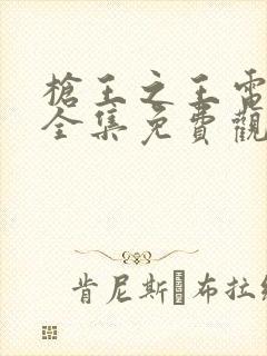 枪王之王电视剧全集免费观看高清