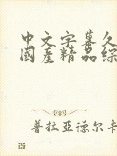 中文字幕久久久国产精品综合