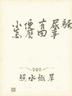 小便有尿骚味是怎么回事