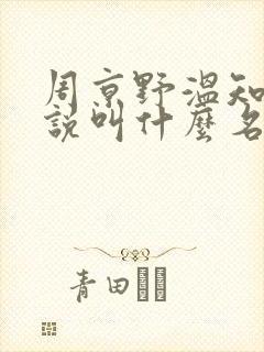 周京野温知予小说叫什么名字