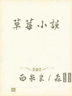 草莓小说