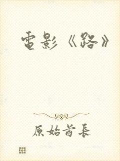 电影《路》