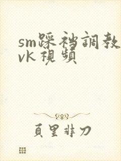sm踩裆调教丨vk视频