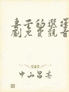 妻子的选择电视剧免费观看全集