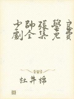 少帅张学良电视剧全集免费观看高清