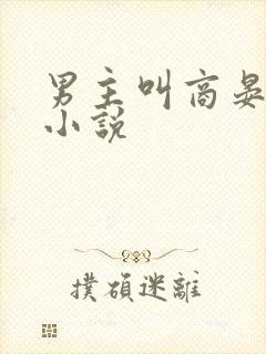 男主叫商晏清的小说封面