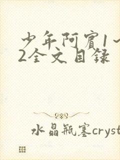 少年阿宾1～72全文目录