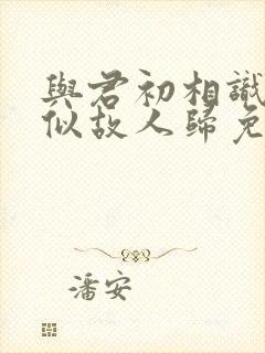 与君初相识·恰似故人归免费看