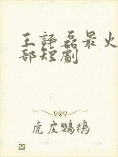 王译磊最火的十部短剧