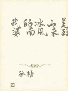 我的冰山美女老婆 南风未临