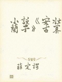 小说《安壮壮,兰子》古寨小说下载封面