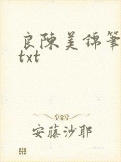 良陈美锦笔趣阁txt