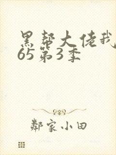 黑帮大佬我的365第3季