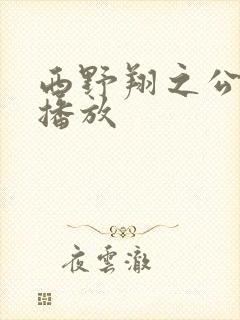 西野翔之公在线播放封面