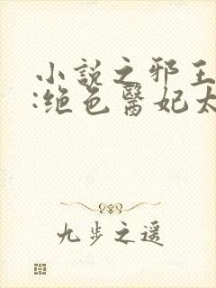 小说之邪王独宠:绝色医妃太逆天