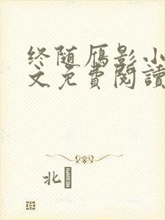 终随雁影小说全文免费阅读