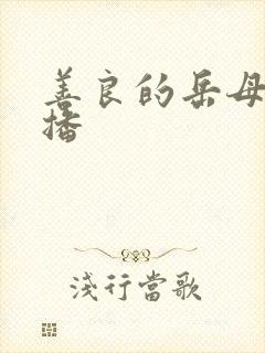 善良的岳母 云播