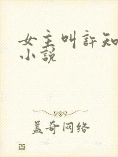 女主叫许知意的小说