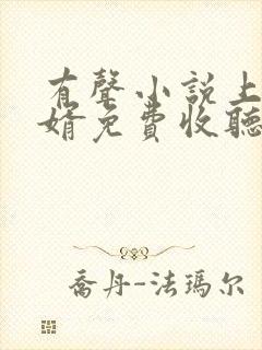 有声小说上门龙婿免费收听