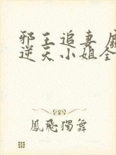 邪王追妻 废材逆天小姐全文阅读