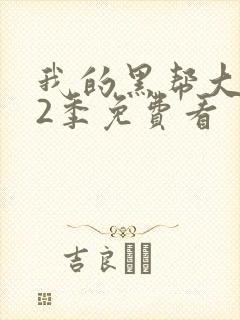 我的黑帮大佬第2季免费看