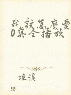 我该怎么爱你40集全播放