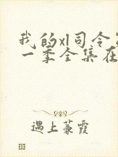 我的xl司令第一季全集在线观看完整版免费