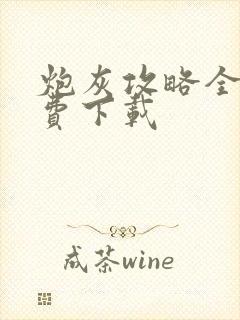 炮灰攻略全文免费下载封面