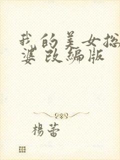 我的美女总裁老婆 改编版