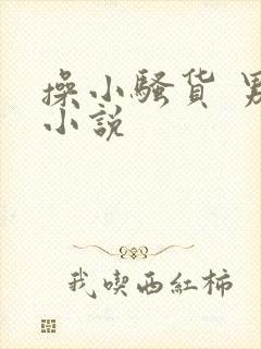 操小骚货 男男小说封面