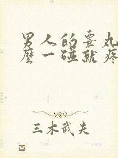 男人的睾丸为什么一碰就疼